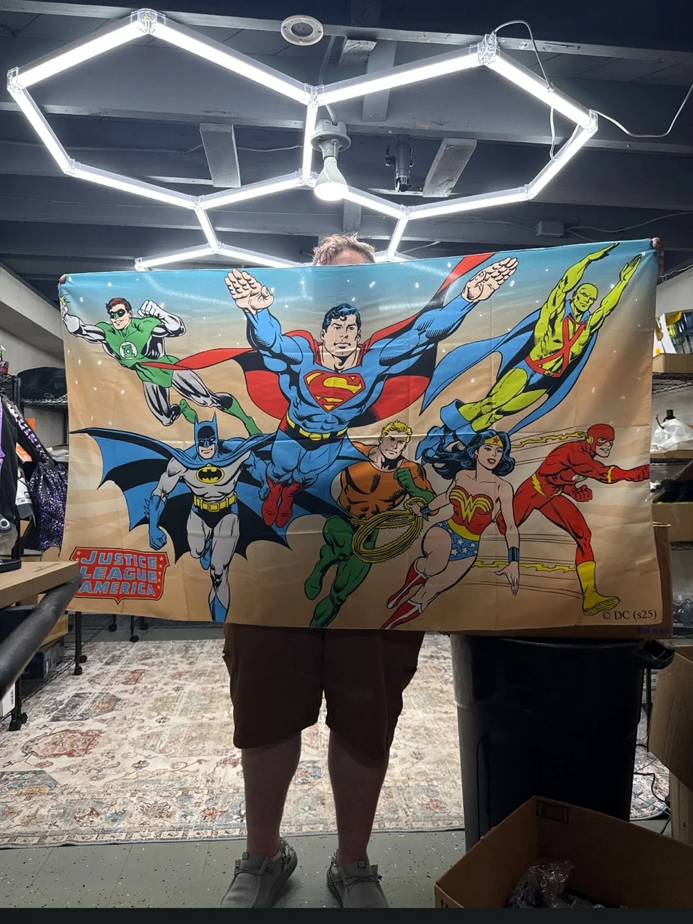 DC Comics Justice League Wall Banner - Multicolor